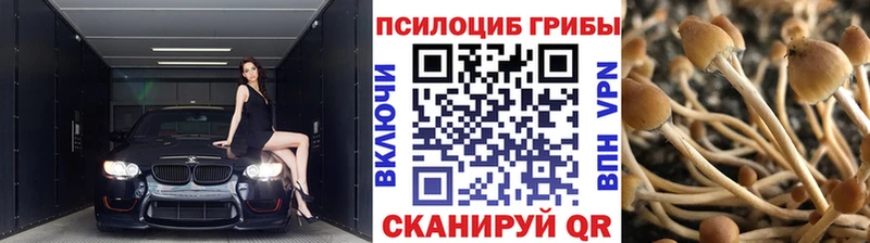 Псилоцибиновые грибы MAGIC MUSHROOMS Киреевск