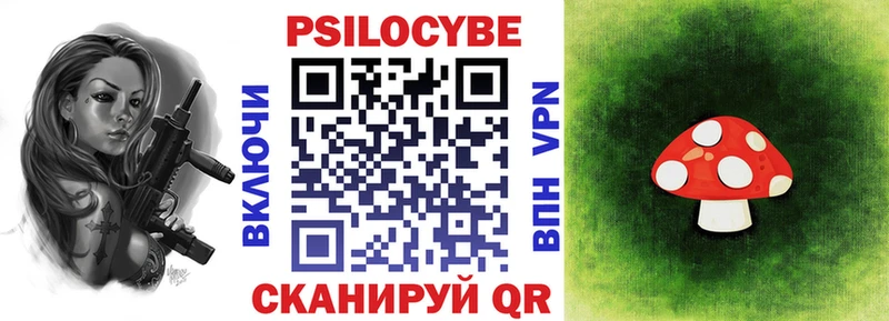 Купить где  Киреевск  Псилоцибиновые грибы Psilocybe 